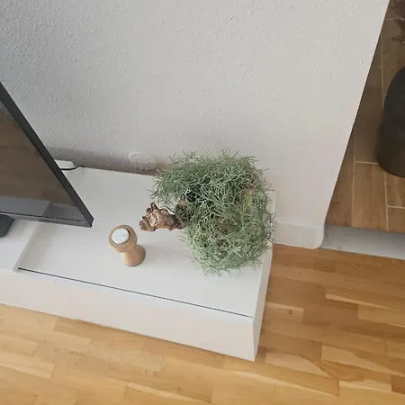 Hostel Cozy Near The New York Cafe With Private Bathroom