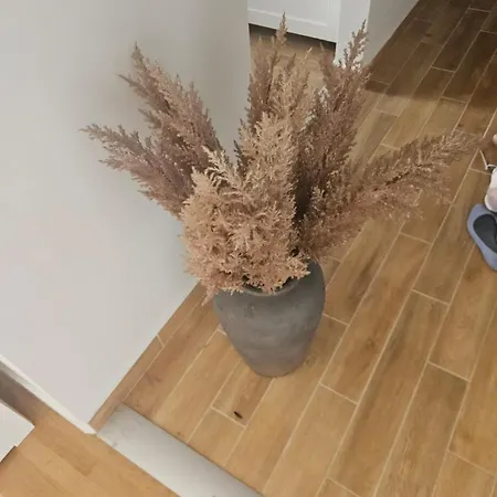 Albergue Cozy Near The New York Cafe Budapeste